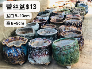 蕾絲盆
