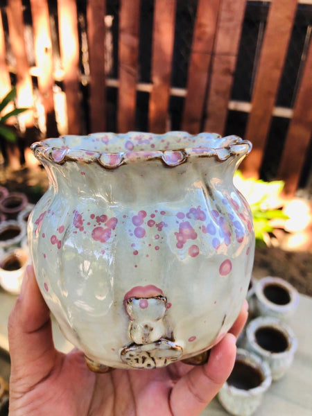貓奴盆